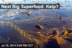 Next Big Superfood: Kelp?