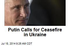Putin Calls for Ceasefire in Ukraine