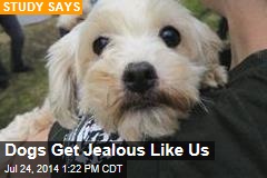 Dogs Get Jealous Like Us
