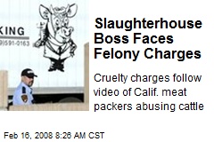 Slaughterhouse Boss Faces Felony Charges