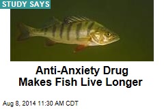 Anti-Anxiety Drug Makes Fish Live Longer