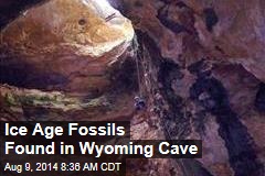 Ice Age Fossils Found in Wyoming Cave