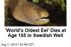 &#39;World&#39;s Oldest Eel&#39; Dies at Age 155 in Swedish Well