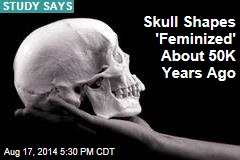 How &#39;Feminized&#39; Skulls Signaled Progress