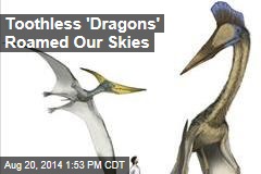 Toothless &#39;Dragons&#39; Roamed Our Skies