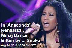 In &#39;Anaconda&#39; Rehearsal, Minaj Dancer Bitten by ... Snake