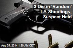 3 Die in &#39;Random&#39; LA Shootings; Suspect Held