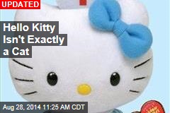 Wait, You Thought Hello Kitty Was a Cat?
