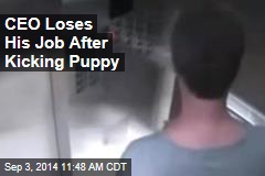 CEO Loses His Job After Kicking Puppy
