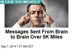 2)Explain how messages are sent into and out of the brain.