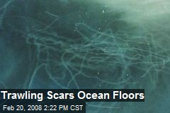 Trawling Scars Ocean Floors