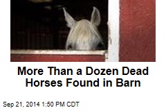 More Than a Dozen Dead Horses Found in Barn