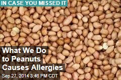 What We Do to Peanuts Causes Allergies