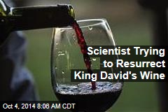 Scientist Trying to Resurrect King David&#39;s Wine