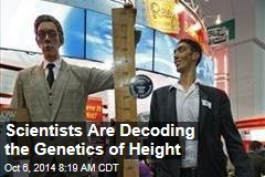 Scientists Are Decoding the Genetics of Height