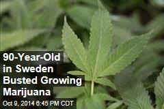 90-Year-Old in Sweden Busted Growing Marijuana