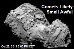Comets Likely Smell Awful