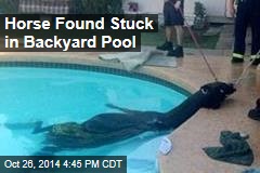 Firefighters Find Horse in Swimming Pool