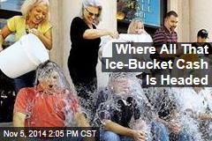 Where All That Ice-Bucket Cash Is Headed