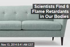 Scientists Find 6 Flame Retardants in Our Bodies
