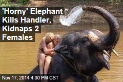 &#39;Horny&#39; Elephant Kills Handler, Kidnaps 2 Females