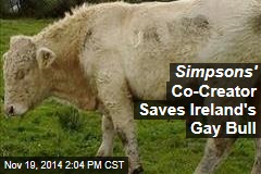 Simpsons&#39; Co-Creator Saves Ireland&#39;s Gay Bull