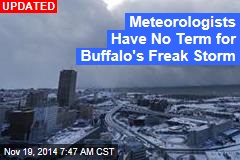 4 Deaths Blamed on Buffalo Snowstorm