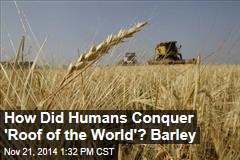 How Did Humans Conquer &#39;Roof of the World&#39;? Barley