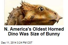N. America&#39;s Oldest Horned Dino Was Size of Bunny