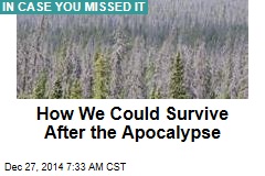 How We Could Survive After the Apocalypse