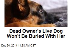 Dead Owner&#39;s Live Dog Won&#39;t Be Buried With Her