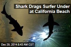 Shark Drags Surfer Under at California Beach