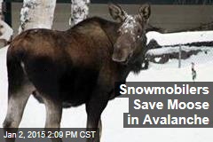 Snowmobilers Save Moose in Avalanche