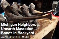 Michigan Neighbors Unearth Mastodon Bones in Backyard