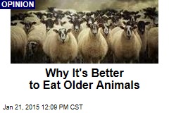 Why It&#39;s Better to Eat Older Animals
