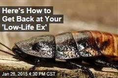 Here&#39;s How to Get Back at Your &#39;Low-Life Ex&#39;