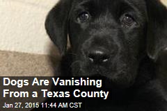 Dogs Are Vanishing From a Texas County