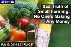 Sad Truth of Small Farming: No One&#39;s Making Any Money