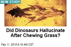 Did Dinosaurs Hallucinate After Chewing Grass?