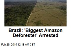 Brazil: &#39;Biggest Amazon Deforester&#39; Arrested