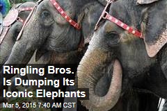 Ringling Bros.: No More Elephants at the Circus