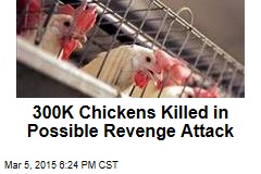 300K Chickens Killed in Possible Revenge Attack