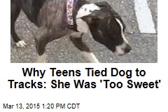 Why Teens Tied Dog to Tracks: She Was &#39;Too Sweet&#39;