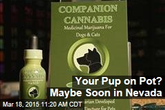 Your Pup on Pot? Maybe Soon in Nevada