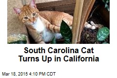 South Carolina Cat Turns Up in California