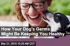How Your Dog&#39;s Germs Might Be Keeping You Healthy