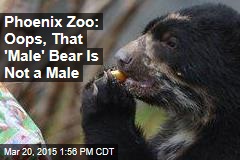 Phoenix Zoo: Oops, That &#39;Male&#39; Bear Is Not a Male