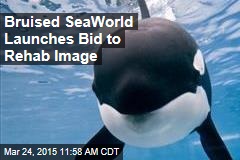 Bruised SeaWorld Launches Bid to Rehab Image