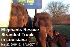 Elephants Rescue Stranded Truck in Louisiana
