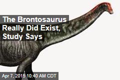 The Brontosaurus Really Did Exist, Study Says